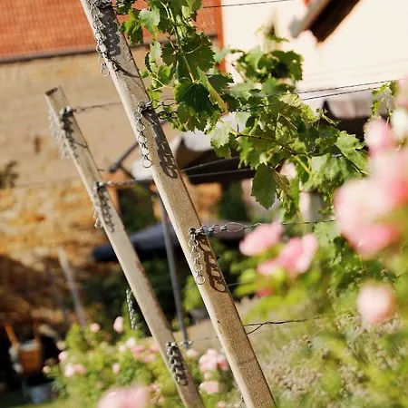 Gute Lage Διαμέρισμα *